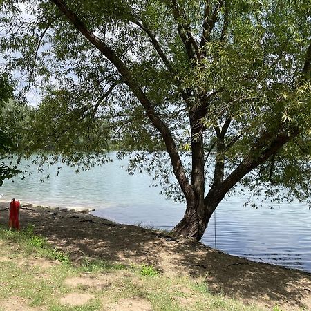 Camping Oaza Бела-Црква Экстерьер фото